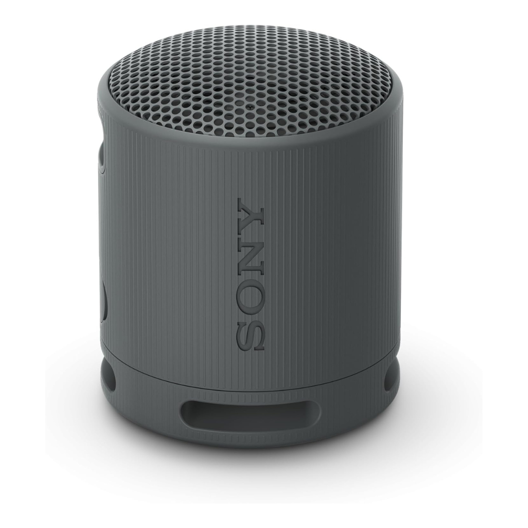 Sony SRS-XB100